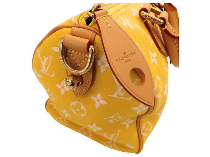 Louis Vuitton Speedy Bandouliere 25 Leather Bag Yellow - view 5