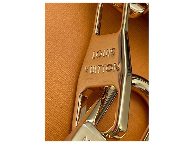 Pochette Louis Vuitton in Pelle Marrone Cognac - vista 5