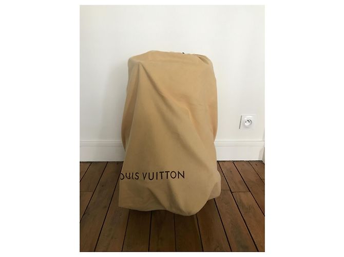 Louis Vuitton EOLE 60 Damier Borsa da viaggio marrone pelle - vista 18