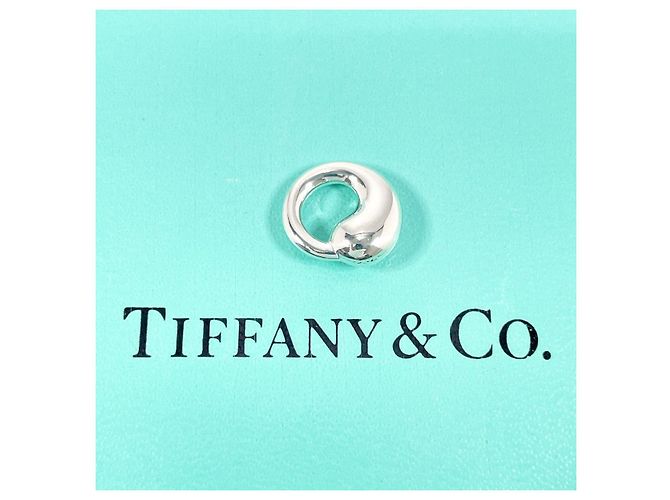 Pendente in argento cerchio eterno Tiffany & Co - vista 2