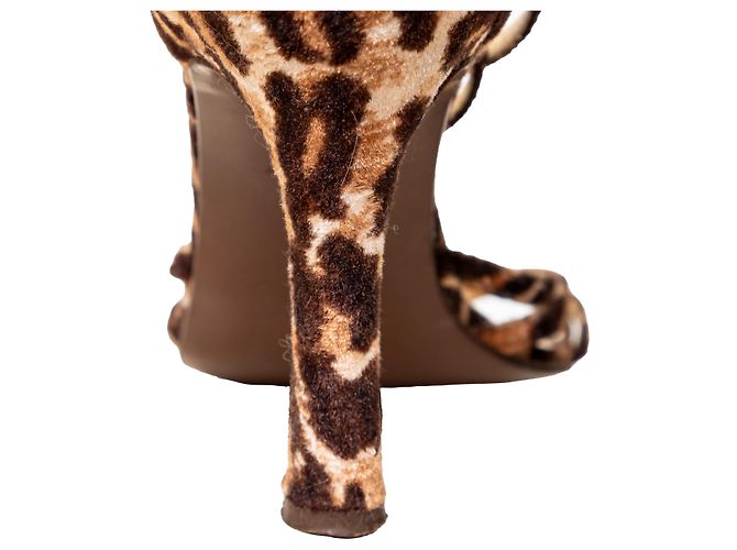 Tacchi a strappo con stampa animale Dolce & Gabbana - vista 9