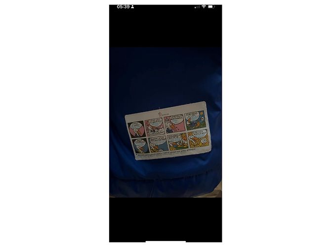 Moncler Mädchen Mantel hellblau aus Nylon - Ansicht 10