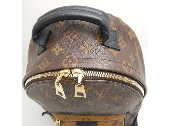 Zaino Palm Springs PM Monogram Reverse Louis Vuitton Marrone - vista 5