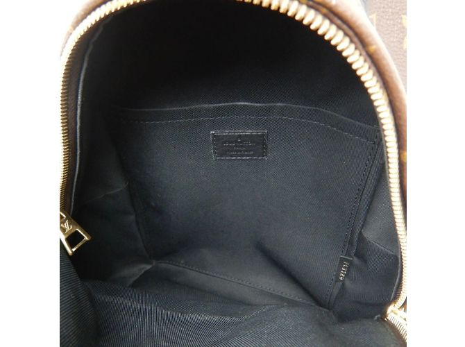 Zaino Palm Springs PM Monogram Reverse Louis Vuitton Marrone - vista 8