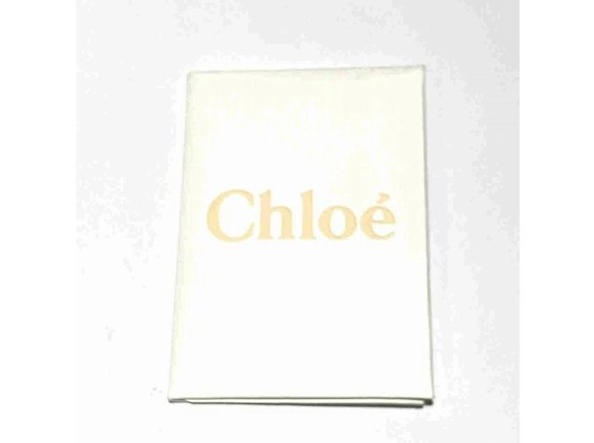 Chloé Abbey Rocks Piccola Borsa - vista 7