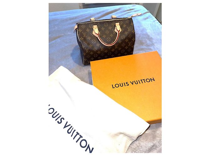Louis Vuitton Speedy 30 Brown Leather Handbag - view 2
