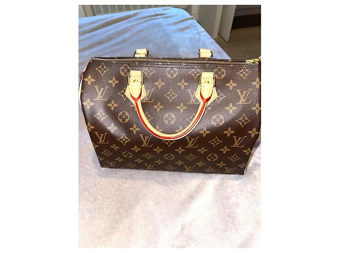 Louis Vuitton Speedy 30 Brown Leather Handbag - view 3