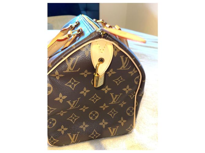 Louis Vuitton Speedy 30 Brown Leather Handbag - view 4