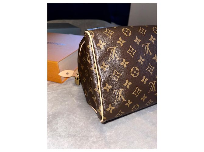 Louis Vuitton Speedy 30 Brown Leather Handbag - view 6