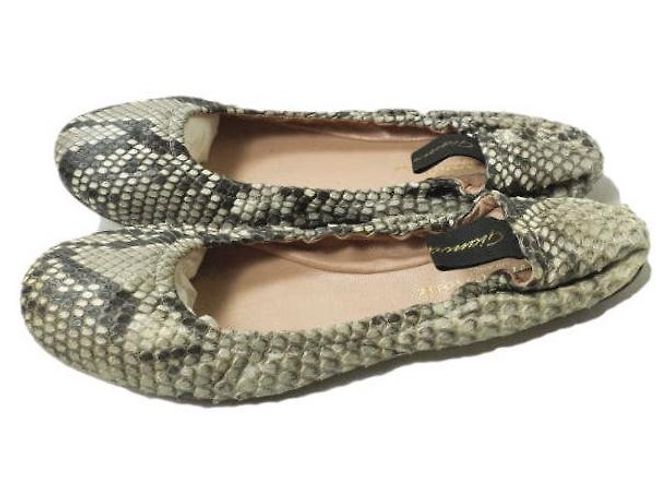 Autre Marque Gianvito Rossi AUDREY Ballettschuhe aus Python - Ansicht 2