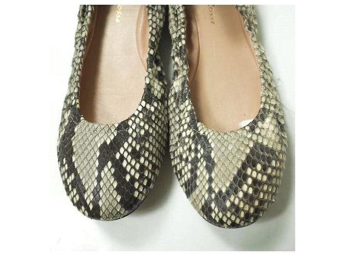Autre Marque Gianvito Rossi AUDREY Ballettschuhe aus Python - Ansicht 5