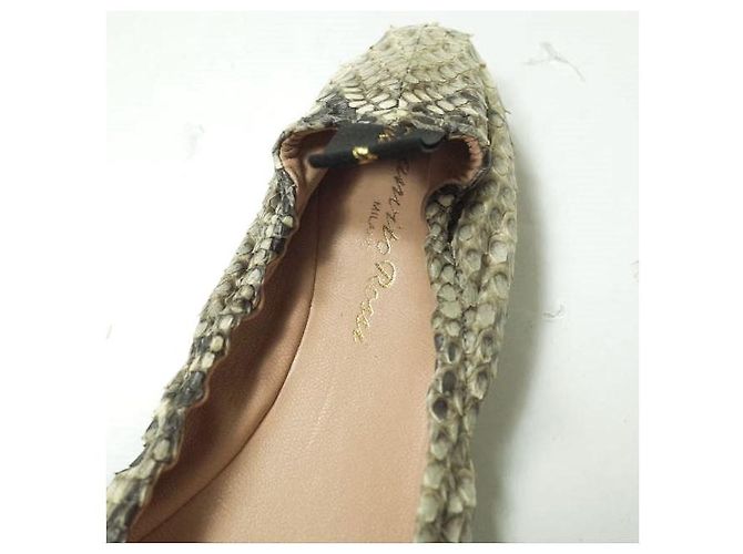 Autre Marque Gianvito Rossi AUDREY Ballettschuhe aus Python - Ansicht 6