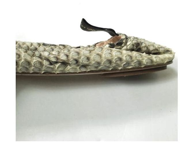 Autre Marque Gianvito Rossi AUDREY Ballettschuhe aus Python - Ansicht 7