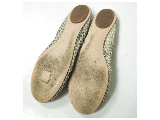 Autre Marque Gianvito Rossi AUDREY Ballettschuhe aus Python - Ansicht 9