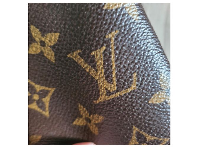 Estuche para gafas GM Louis Vuitton Gold hardware - vista 5