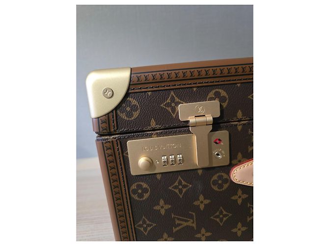 Valigia a rotelle Louis Vuitton Marrone scuro - vista 8