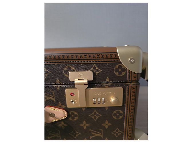 Valigia a rotelle Louis Vuitton Marrone scuro - vista 9