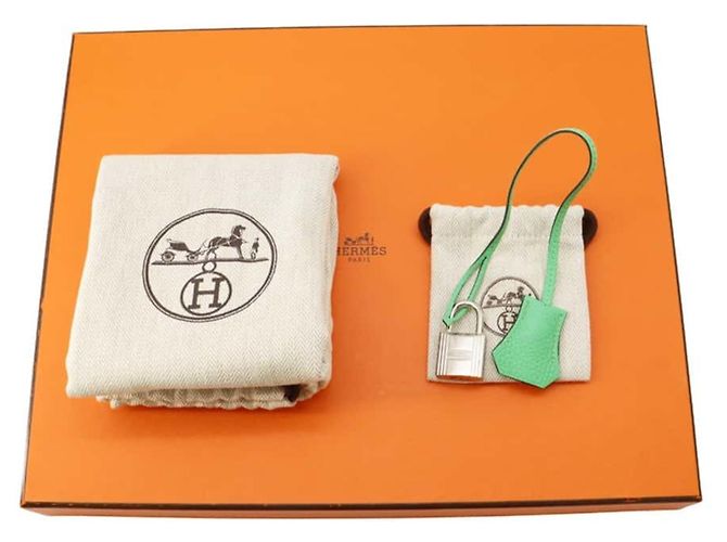 Hermès Sac à dos Hermes Kelly Akkad PM Vert Comic Togo Vert clair - vue 11