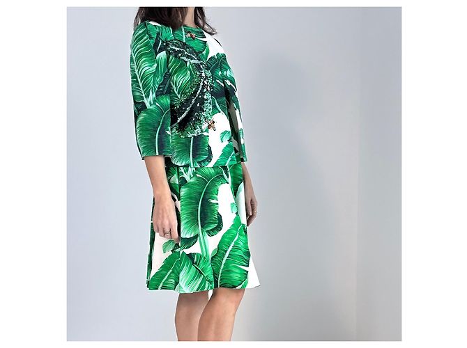 Dolce & Gabbana Jacke Bananenblatt Print Weiß Grün - Ansicht 12