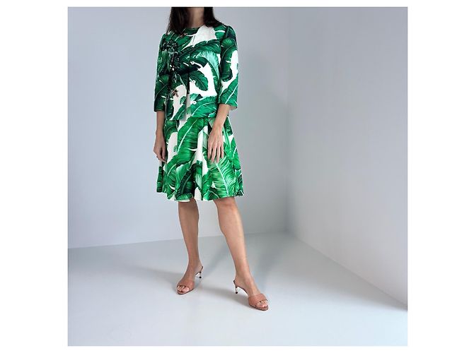 Dolce & Gabbana Jacke Bananenblatt Print Weiß Grün - Ansicht 2