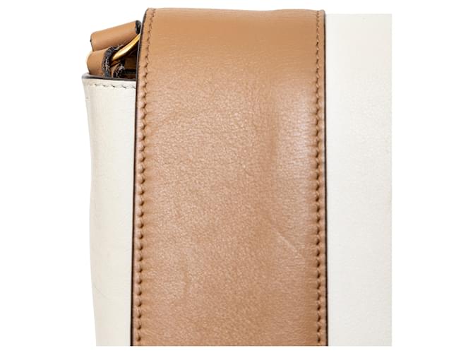 Céline Borsa a cornice media Celine Multicolore - vista 8