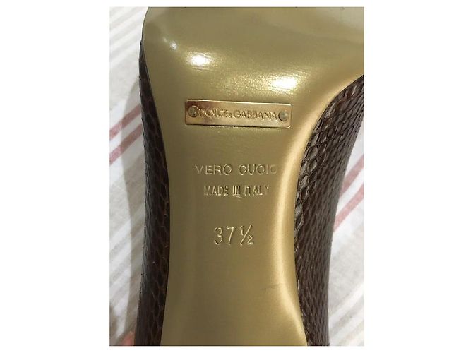 Sapatos de Salto Dolce & Gabbana Marrom Escuro Couro Castanho escuro - vista 4