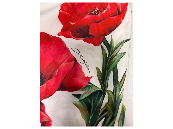 Dolce & Gabbana PANTALÓN CORTO BLANCO CON ESTAMPADO DE AMAPOLAS. Roja - vista 5