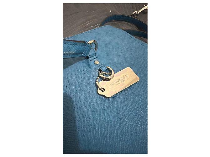 Borsa a mano Coach Stanton Carryall in pelle blu - vista 11
