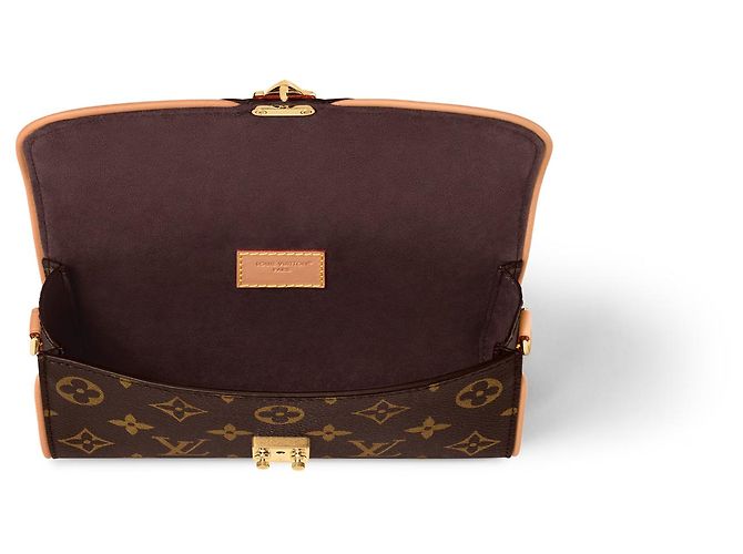 Louis Vuitton LV Camille pochette new Brown - view 2