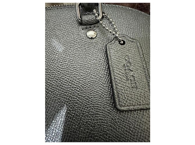 Borsa Coach Mini Sierra Argento Pelle Stampa Serpente - vista 11