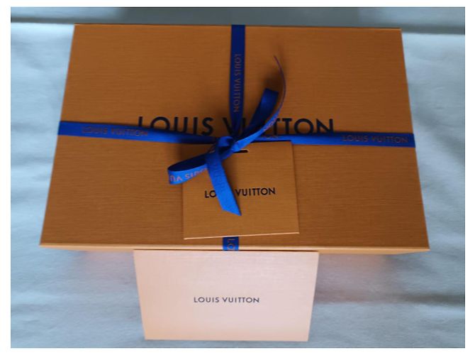 2025 Louis Vuitton x TM Pochette Accessoires Takashi Murakami Nero Multicolore - vista 14