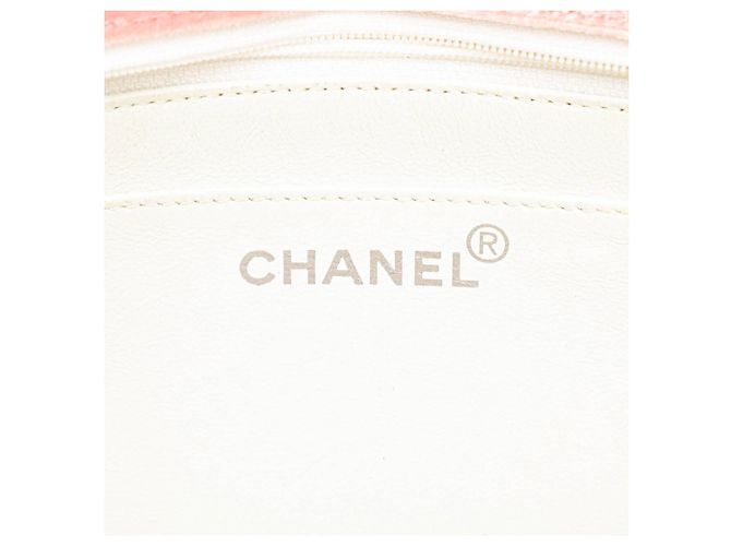 Chanel Rosa Medio Velluto Micro Trapuntato CC Flap - vista 5