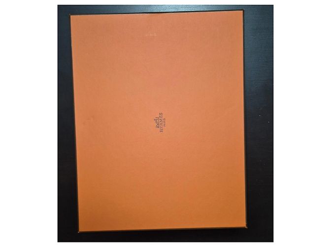 Sandali Hermès Izmir Cammello - vista 8