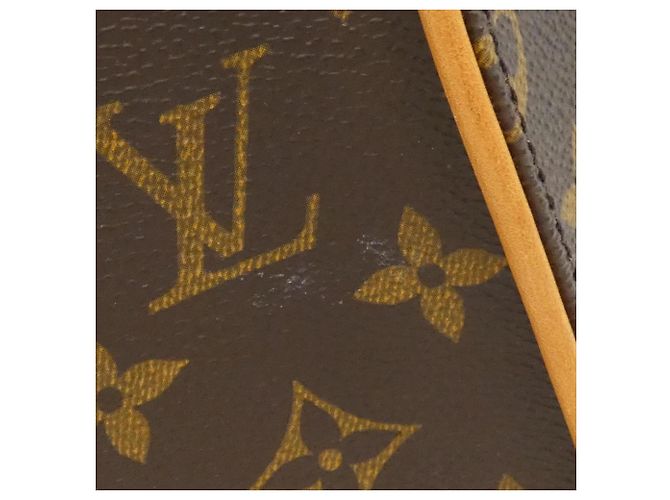 Zaino Louis Vuitton Monogram Ellipse M51125 Marrone - vista 4