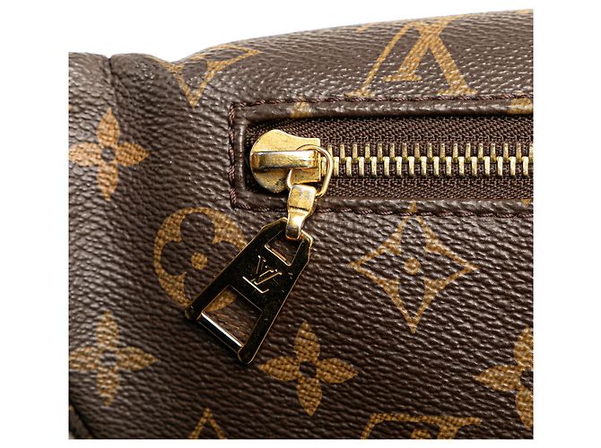Bumbag Monogram marrone Louis Vuitton - vista 8
