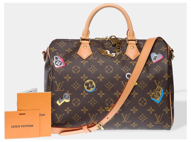 LOUIS VUITTON Speedy Bag in Brown Canvas - 102455 - view 2