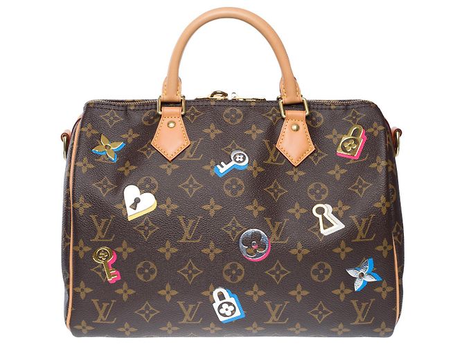 LOUIS VUITTON Speedy Bag in Brown Canvas - 102455 - view 4