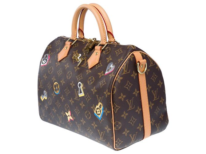 LOUIS VUITTON Speedy Bag in Brown Canvas - 102455 - view 5