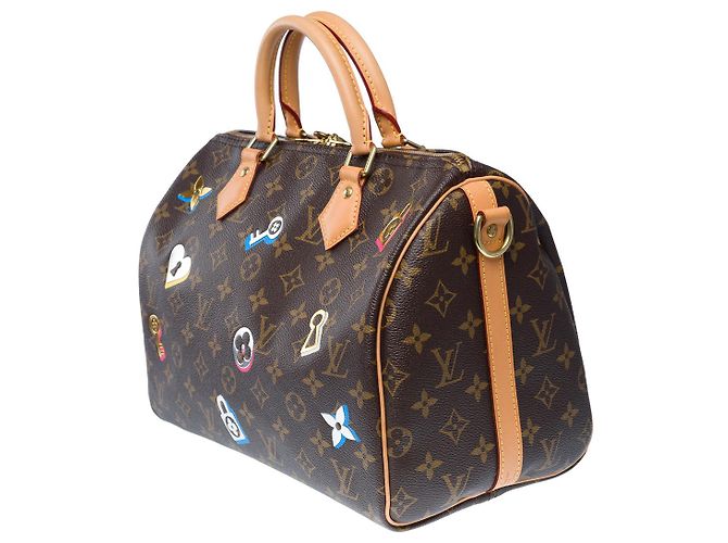 LOUIS VUITTON Speedy Bag in Brown Canvas - 102455 - view 6