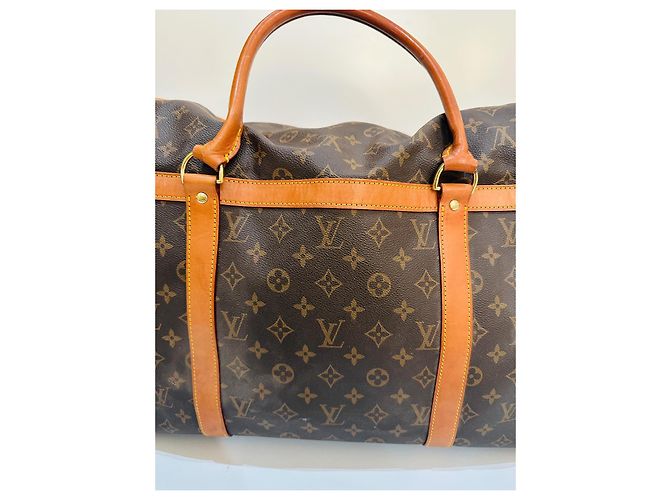 Keepall Borsa per cani Louis Vuitton Marrone - vista 10
