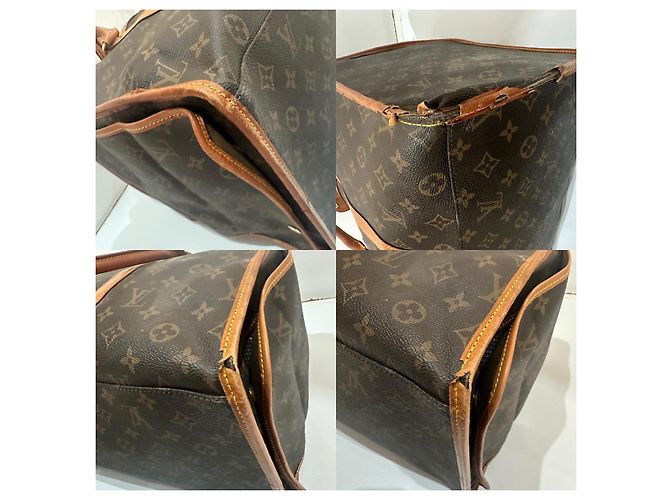 Keepall Borsa per cani Louis Vuitton Marrone - vista 13