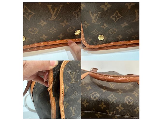 Keepall Borsa per cani Louis Vuitton Marrone - vista 15
