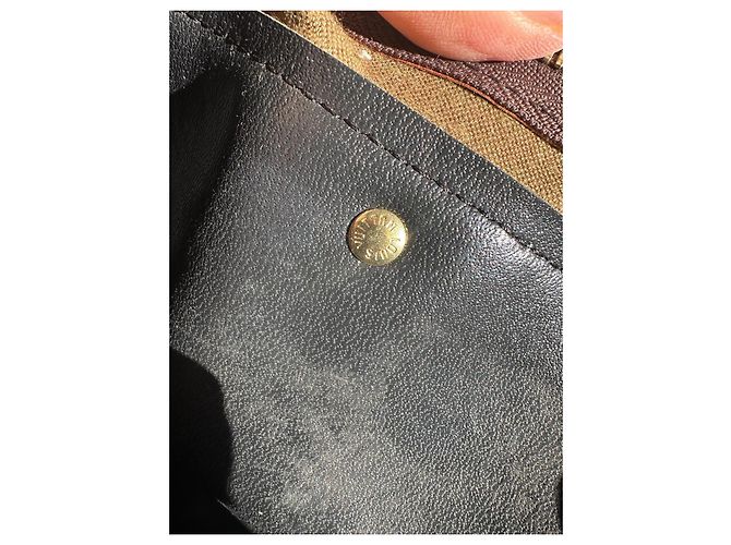 Keepall Borsa per cani Louis Vuitton Marrone - vista 19