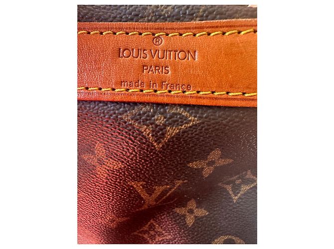 Keepall Borsa per cani Louis Vuitton Marrone - vista 20