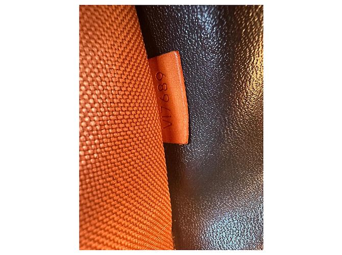 Keepall Borsa per cani Louis Vuitton Marrone - vista 21