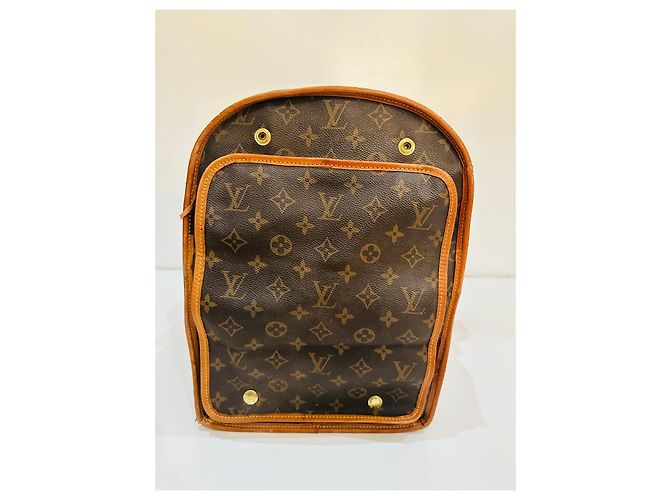 Keepall Borsa per cani Louis Vuitton Marrone - vista 6
