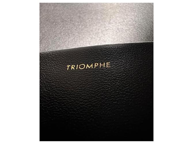 Céline TRIOMPHE CLASSIC 22 CM Schwarz - Ansicht 8