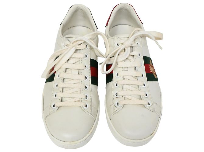 Tênis Gucci Ace com abelha em couro branco Cru - vista 5