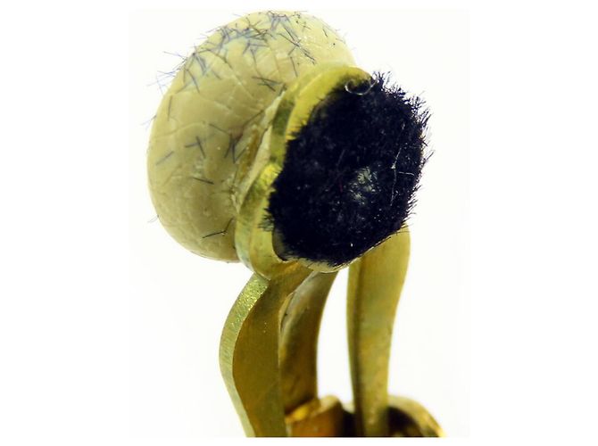 Orecchini placcati in oro Chanel Coco Mark - vista 5