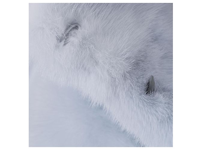 Autre Marque UNSIGNED Blue Fur Garment - 102235 - view 4